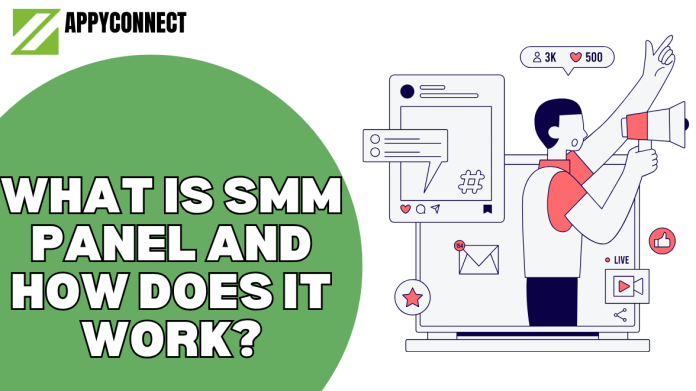 What Is an SMM Panel and How It Works |...